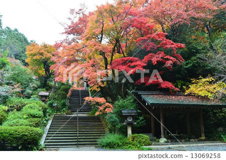 京都·日向Ojinjinga 13069258