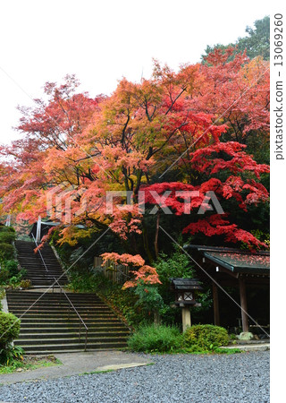 Kyoto · Hyuga Ojinjinga 13069260