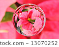 Spheres: poinsettia 13070252