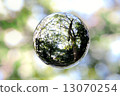 Space Ball: Forest Bath 13070254
