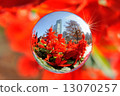 Space Ball: Flower and Harukasu 13070257
