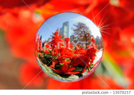 Space Ball: Flower and Harukasu 13070257