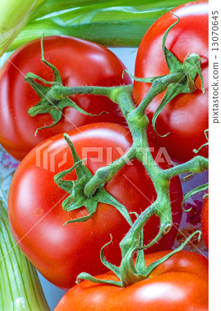 vine tomatoes 13070645
