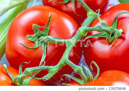 vine tomatoes 13070646
