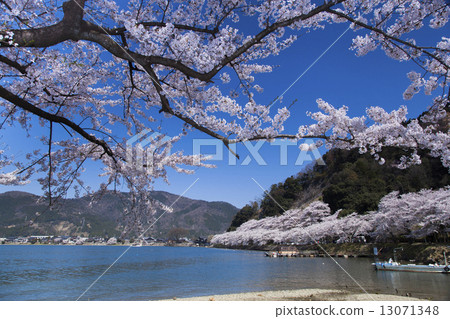 Spring of Kaizu Osaki Spring of Kaizu Osaki 13071348