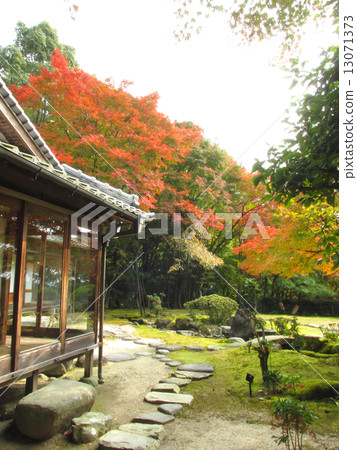 Momiji autumnal leaves with autumnal leaves and autumn leaves 13071373