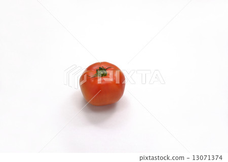夏季蔬菜番茄 13071374