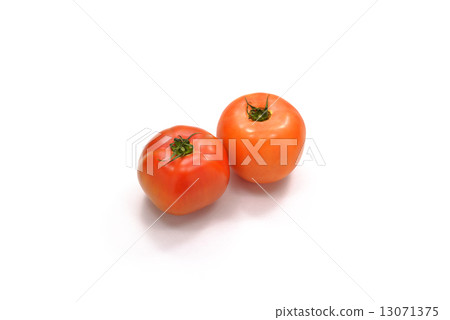 夏季蔬菜番茄 13071375