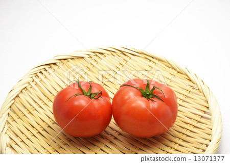 Summer Vegetable Tomato 13071377
