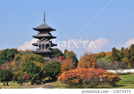 Five stories 13073475