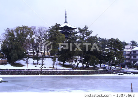 Kofuku-ji Temple of Snow (Nara) Sarusawa-no-paku watching the five-storied pagoda Kofuku-ji Temple of Snow (Nara) Sarusawa-no-paku watching the five-storied pagoda 13073668