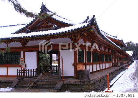 Todaiji Temple Buddha statue (Nara) Snow lying in the corridor Todaiji Temple Buddha statue (Nara) Snow lying in the corridor 13073691