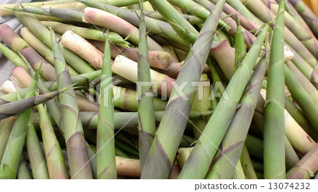 Bamboo shoots (Nemari garake) Bamboo shoots (Nemari garake) 13074232