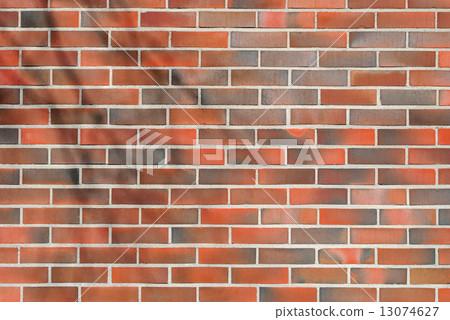 Fulvous brick wall. Fulvous brick wall. 13074627