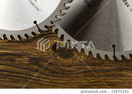circular saw blades 13075281
