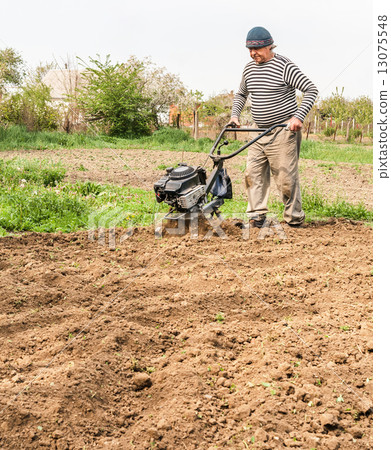 Farmer plowing the field. Cultivating tractor in the field 13075548