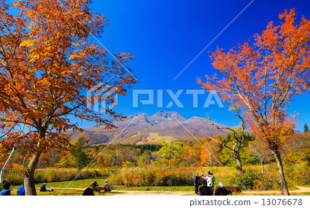 Mt. Myokoyama of autumn leaves 13076678