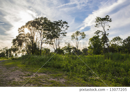 View of New York, Staten Island 13077205
