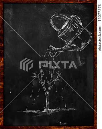 Watering Plant sketch on blackboard Watering Plant sketch on blackboard 13077278