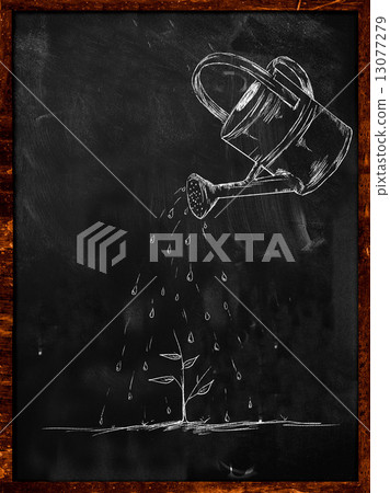 Watering Small Plant sketch on blackboard Watering Small Plant sketch on blackboard 13077279