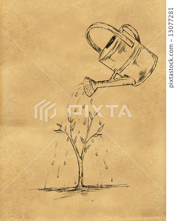 Watering Plant sketch on Paper Watering Plant sketch on Paper 13077281
