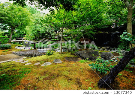 Yushima Tenjin garden in Bunkyo ku Tokyo (Yushima Tenmangu Shrine) Yushima Tenjin garden in Bunkyo ku Tokyo (Yushima Tenmangu Shrine) 13077340