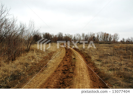 Rural road Rural road 13077404