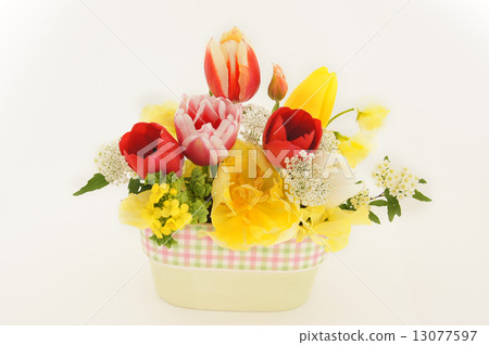 Arrangement of tulips Arrangement of tulips 13077597