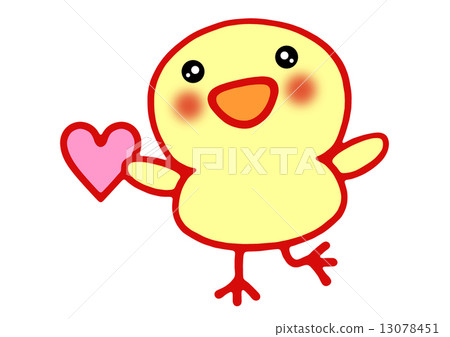 小雞 小雞 13078451