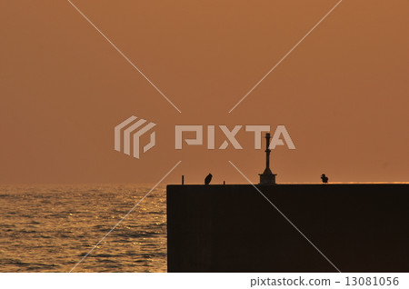 日落和Umiu 13081056