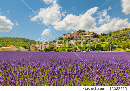 City on a hill with a lavender field City on a hill with a lavender field 13082513