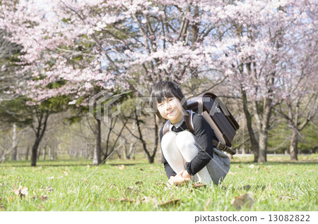 First-year students and cherry blossoms 13082822