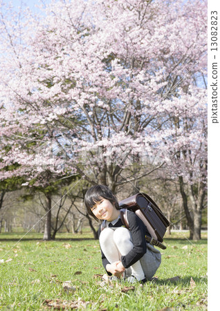 First-year students and cherry blossoms 13082823