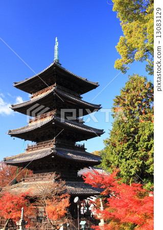 12月愛知Yasushiyama Koshoji寺/五層寶塔和秋葉 13083129
