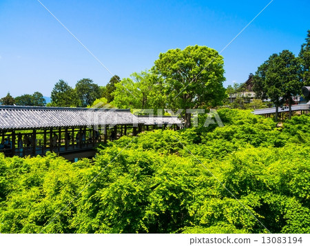 Fresh green of the Tonenbashi 13083194