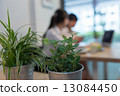 Working in the cafe 13084450