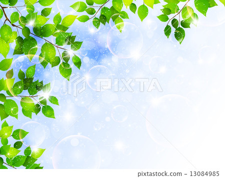 Leaf plant landscape Leaf plant landscape 13084985