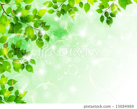 Leaf plant landscape 13084989