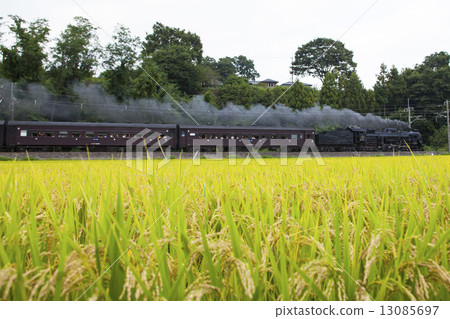 飯和火車 13085697