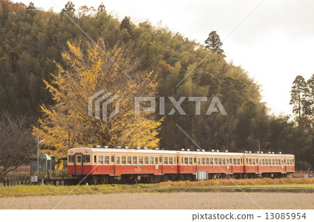 銀杏和火車 銀杏和火車 13085954