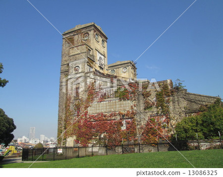 藍天森林公園Negishi跑馬場種族橫濱 13086325