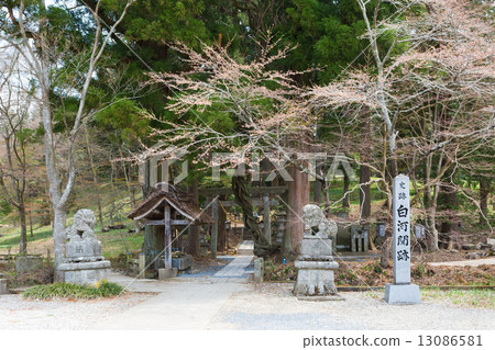 春天白川遺址 13086581