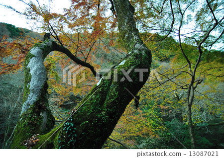 準備冬天 13087021