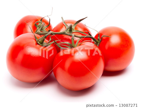 branch of tomatoes 13087271