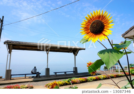 Shimonada station and sunflower summer's stone poetry Shimonada station and sunflower summer's stone poetry 13087346