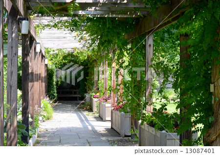 botanical garden, cornell university, college 13087401