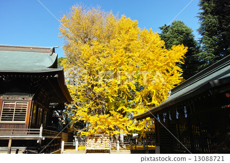 Kunishiki Hachimangu Shrine Sonomoto Kuniki Kunishiki Hachimangu Shrine Sonomoto Kuniki 13088721
