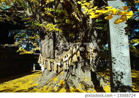 Kunishiki Hachimangu Shrine Sonomoto Kuniki Kunishiki Hachimangu Shrine Sonomoto Kuniki 13088724
