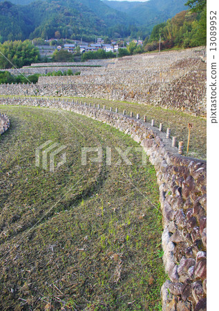 Samurai began the graded field 13089952