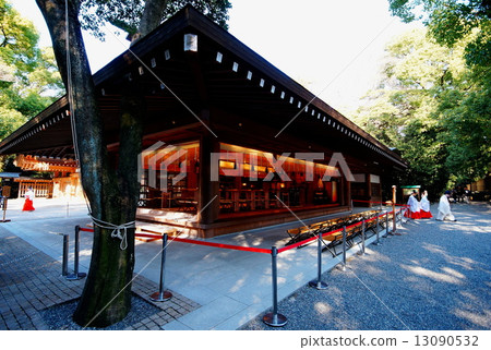 Shoda Shrine prayer hall / long floor (Nagoya city, Aichi prefecture) 13090532